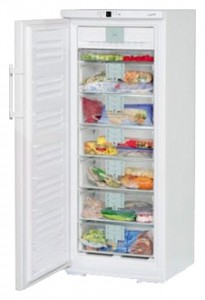 Kjøleskap Liebherr GNP 2906 Bilde anmeldelse