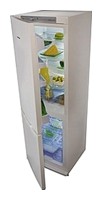 Kühlschrank Snaige RF34SM-S10001 Foto Rezension