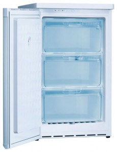 Buzdolabı Bosch GSD10N20 fotoğraf gözden geçirmek