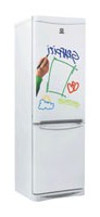 Refrigerator Indesit B 18 GF larawan pagsusuri