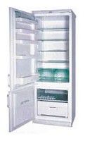Refrigerator Snaige RF315-1671A larawan pagsusuri