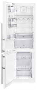 Buzdolabı Electrolux EN 3889 MFW fotoğraf gözden geçirmek