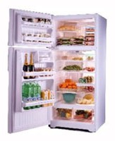 Холодильник General Electric GTG16HBMSS Фото обзор