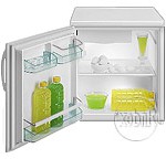 Refrigerator Gorenje R 090 C larawan pagsusuri