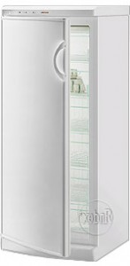 Холодильник Gorenje F 24 CC Фото обзор