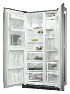 Refrigerator Electrolux ENL 60812 X larawan pagsusuri