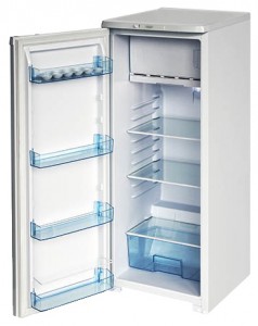 Refrigerator Бирюса R110CA larawan pagsusuri
