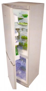 Kühlschrank Snaige RF31SH-S1DD01 Foto Rezension