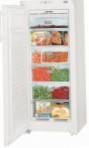 best Liebherr GN 2323 Fridge review