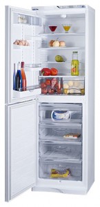 Refrigerator ATLANT МХМ 1848-63 larawan pagsusuri