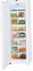 лучшая Liebherr GN 3023 Холодильник обзор