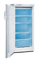 Refrigerator Bosch GSE22422 larawan pagsusuri
