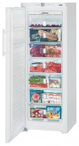 Refrigerator Liebherr GNP 2756 larawan pagsusuri