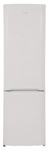 Холодильник BEKO CSA 31021 Фото обзор