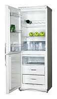 Refrigerator Snaige RF310-1T03A larawan pagsusuri