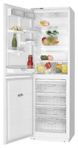 Refrigerator ATLANT ХМ 5014-016 larawan pagsusuri