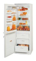 Холодильник ATLANT МХМ 1817-23 Фото обзор