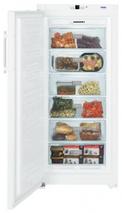 Холодильник Liebherr GN 3113 Фото обзор