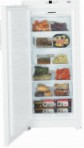 лучшая Liebherr GN 3113 Холодильник обзор