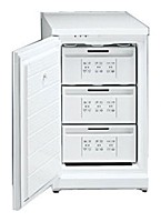 Refrigerator Bosch GSD1343 larawan pagsusuri