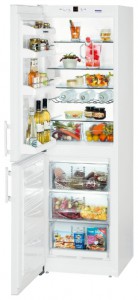 Refrigerator Liebherr CN 3033 larawan pagsusuri