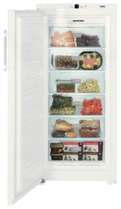 Tủ lạnh Liebherr GNP 3113 ảnh kiểm tra lại