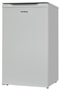 Kühlschrank Delfa BD-80 Foto Rezension