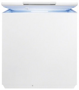 Refrigerator Electrolux EC 2231 AOW larawan pagsusuri