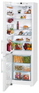 Refrigerator Liebherr CNP 4003 larawan pagsusuri