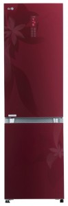 Холодильник LG GA-B489 TGRF Фото обзор