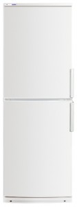 Refrigerator ATLANT ХМ 4023-000 larawan pagsusuri