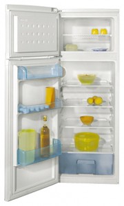 Kjøleskap BEKO DS 325000 Bilde anmeldelse