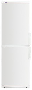 Refrigerator ATLANT ХМ 4025-100 larawan pagsusuri