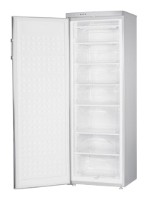 Refrigerator Daewoo Electronics FF-305 larawan pagsusuri
