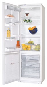Kühlschrank ATLANT ХМ 6094-031 Foto Rezension