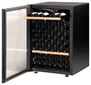 Refrigerator EuroCave V.101 larawan pagsusuri