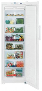 ตู้เย็น Liebherr SGN 3010 รูปถ่าย ทบทวน