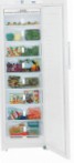 best Liebherr SGN 3010 Fridge review