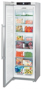 Refrigerator Liebherr SGNes 3010 larawan pagsusuri