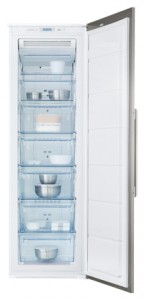 Refrigerator Electrolux EUP 23901 X larawan pagsusuri