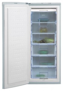 Refrigerator BEKO FSA 21320 larawan pagsusuri