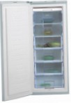 pinakamahusay BEKO FSA 21320 Refrigerator pagsusuri