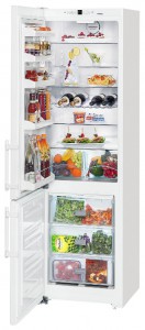 Refrigerator Liebherr CNP 4013 larawan pagsusuri