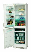 Tủ lạnh Electrolux ERB 3807 ảnh kiểm tra lại