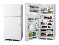 Kühlschrank Frigidaire FGTG 16V6 A Foto Rezension