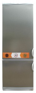 Холодильник Snaige RF315-1573A Фото обзор