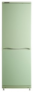 Refrigerator ATLANT ХМ 4012-120 larawan pagsusuri