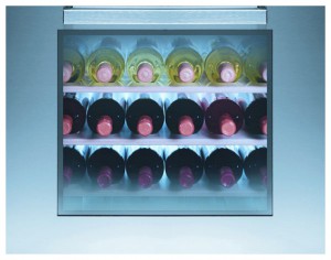 Refrigerator Hotpoint-Ariston WZ 24 larawan pagsusuri