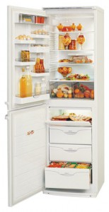 Refrigerator ATLANT МХМ 1805-35 larawan pagsusuri