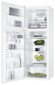Refrigerator Electrolux END 32310 W larawan pagsusuri